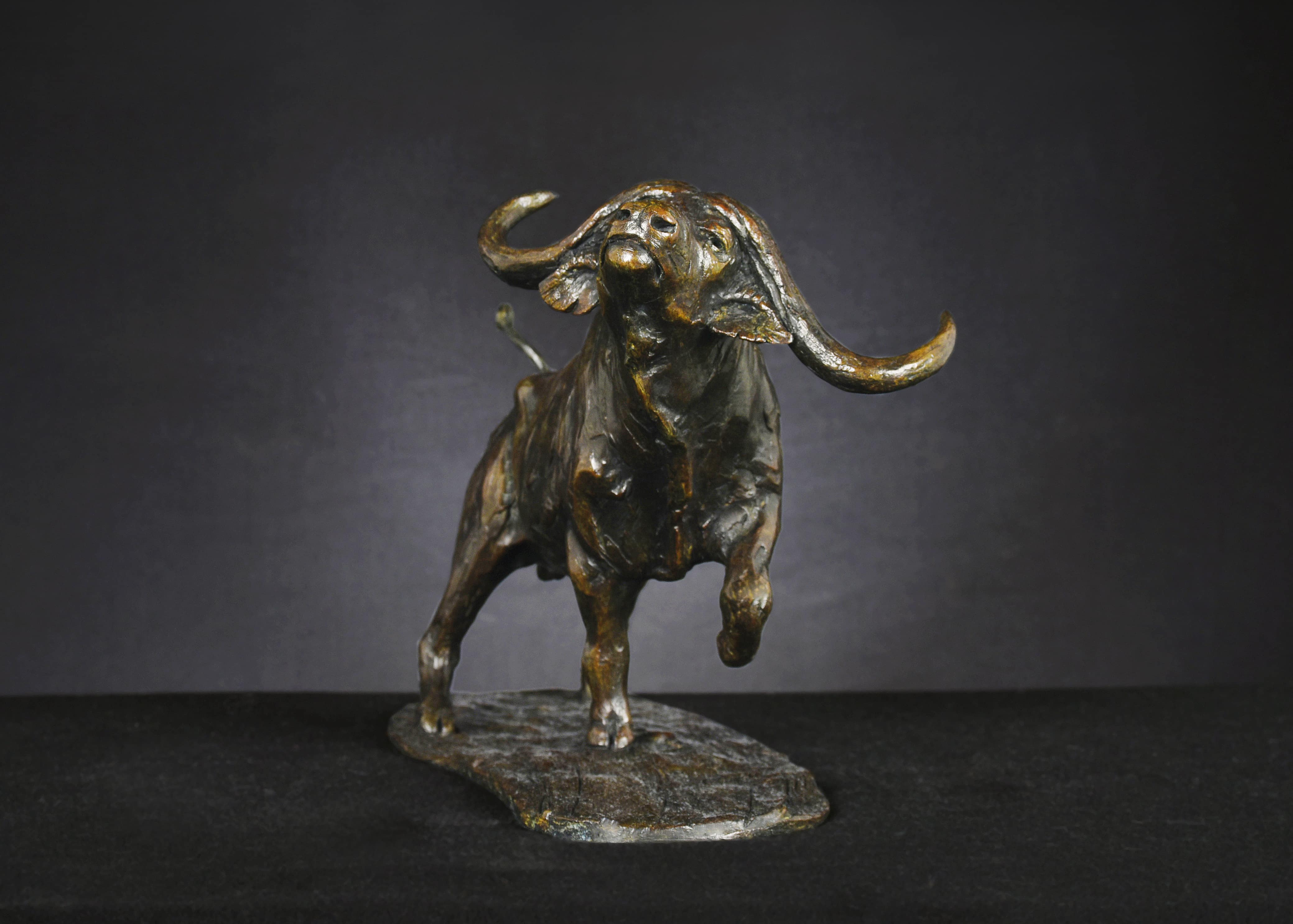 melodi defekt vand In Charge - Charging Buffalo - Exceptional Pieces